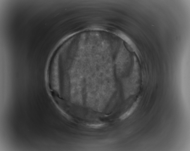 X0000087621141200705251957