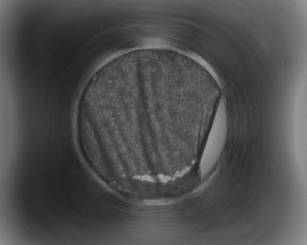 X0000087621142200705251957