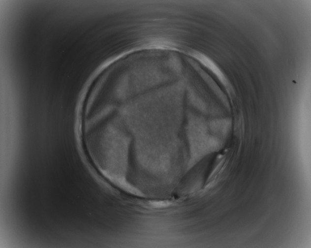 X0000087621144200705251957