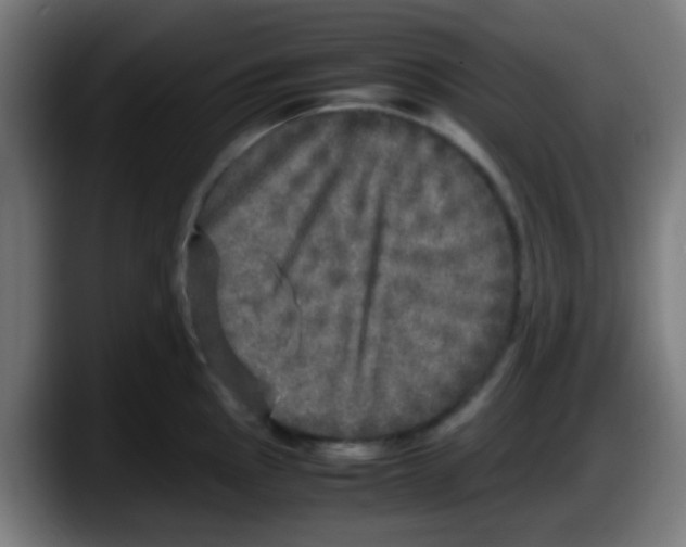 X0000087621145200705251957