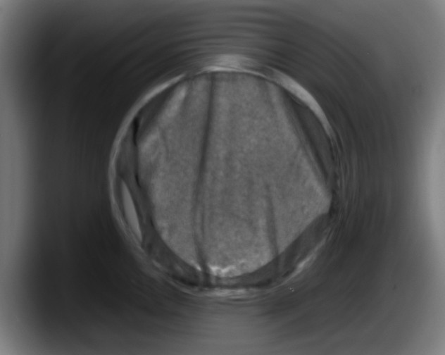X0000087621146200705251957