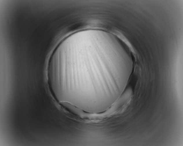X0000087621148200705251957