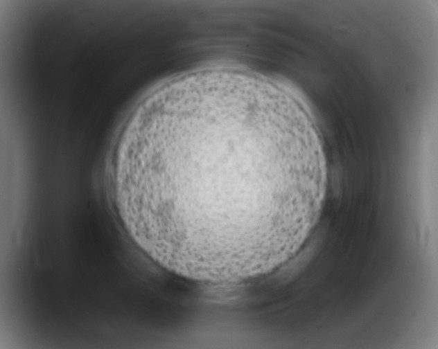 X0000087621150200705251957