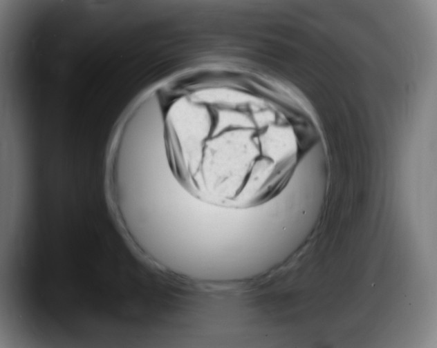 X0000087621152200705251957