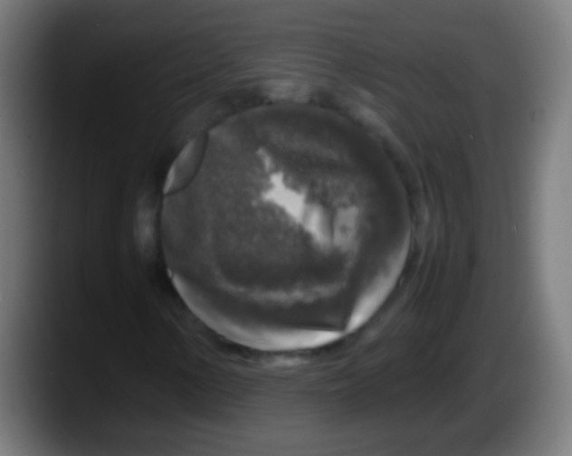 X0000087621154200705251957