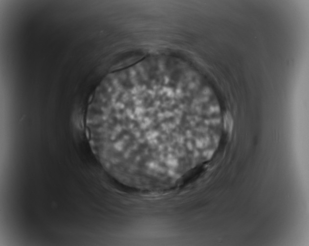 X0000087621155200705251957