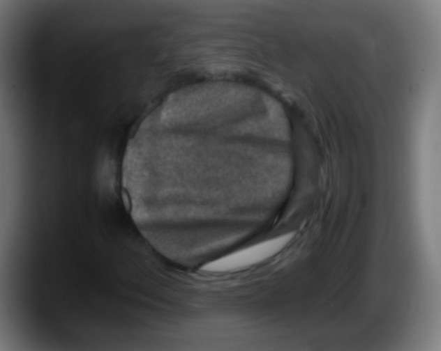 X0000087621156200705251957