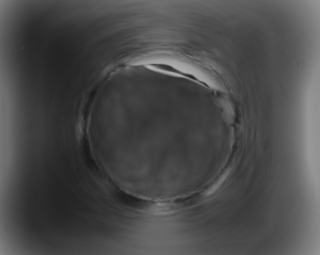 X0000087621161200705251957