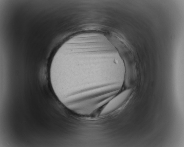 X0000087621164200705251957