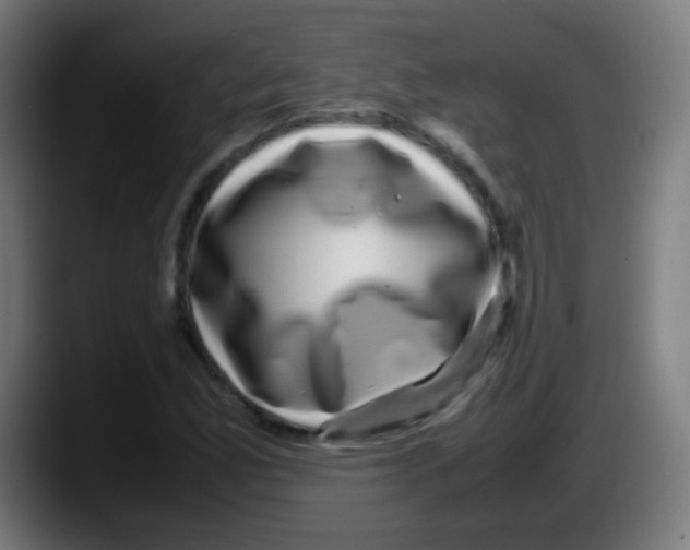X0000087621165200705251957