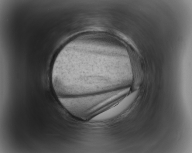 X0000087621168200705251956