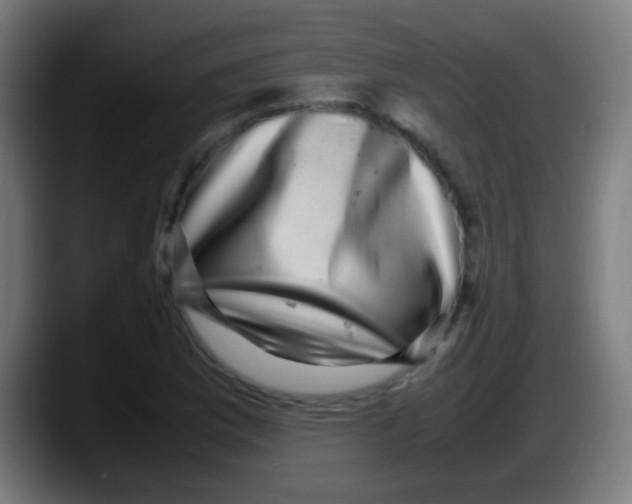 X0000087621169200705251956