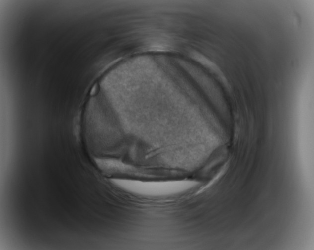 X0000087621170200705251956