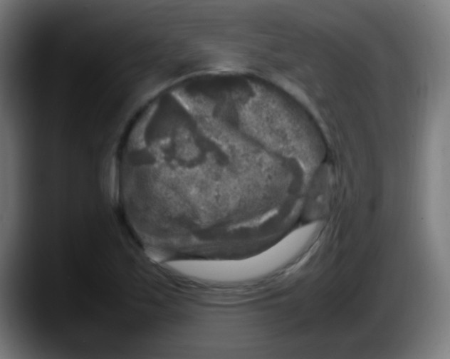 X0000087621171200705251956