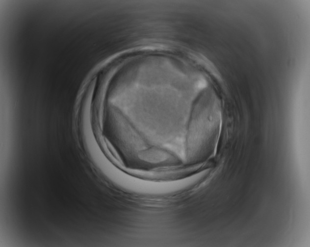 X0000087621172200705251956