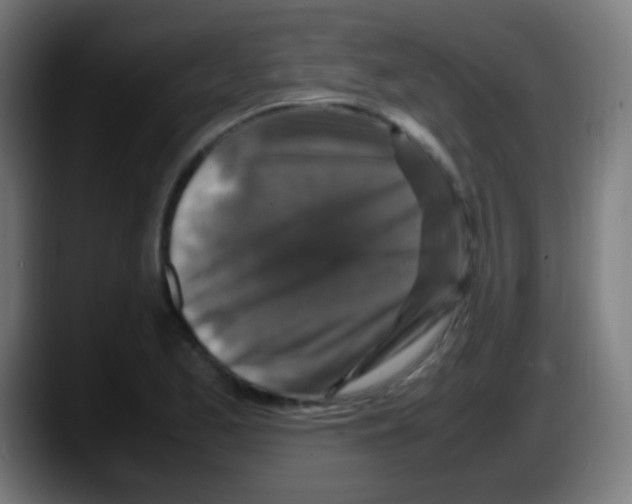X0000087621173200705251956