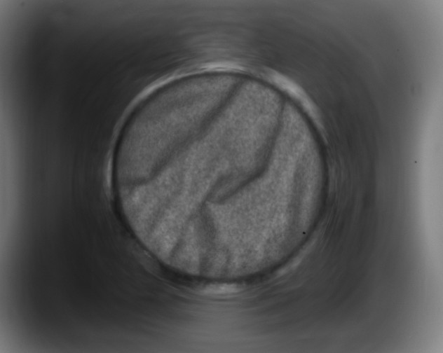 X0000087621174200705251956