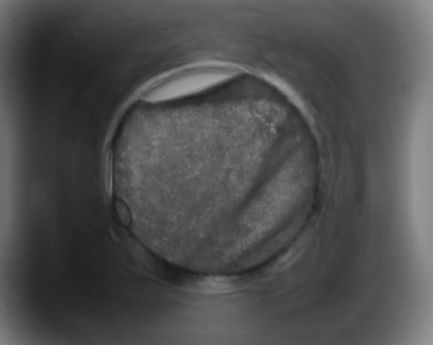 X0000087621175200705251956
