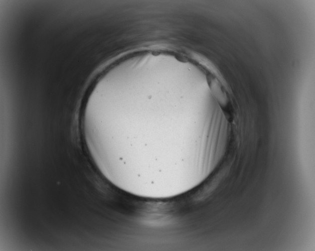 X0000087621176200705251956