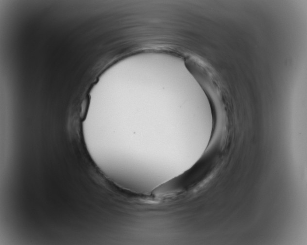 X0000087621177200705251956