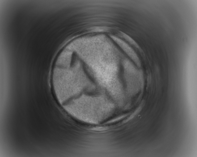 X0000087621178200705251956
