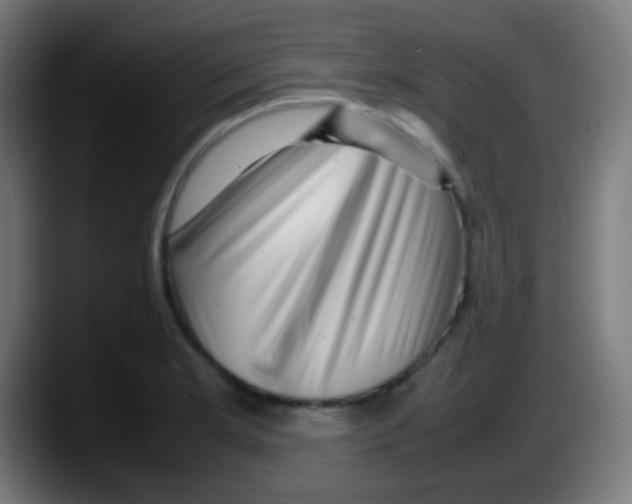 X0000087621181200705251956