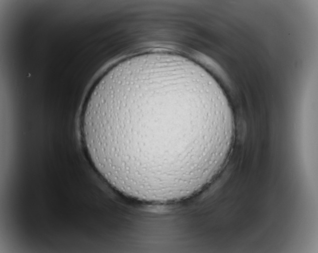 X0000087621182200705251956