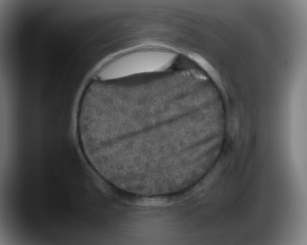 X0000087621183200705251956