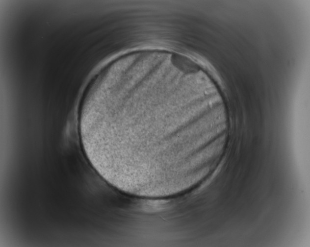 X0000087621184200705251956
