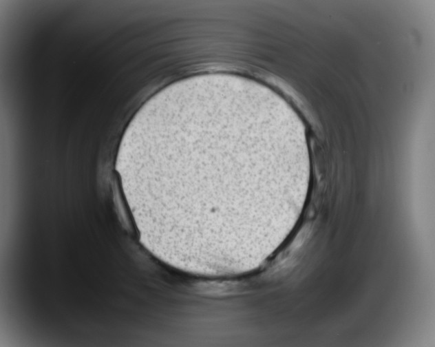 X0000087621185200705251956