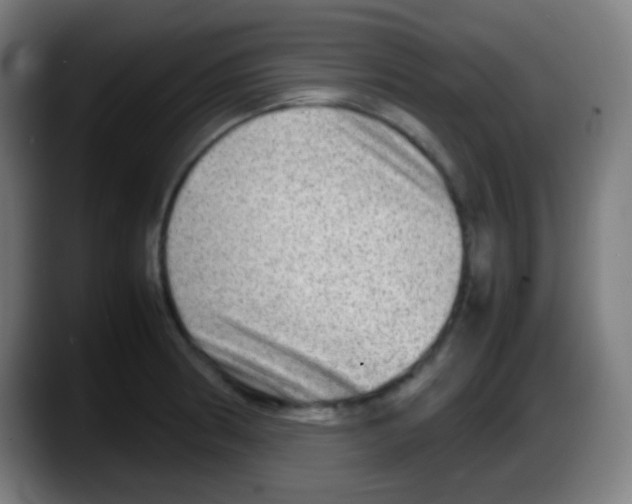 X0000087621186200705251956