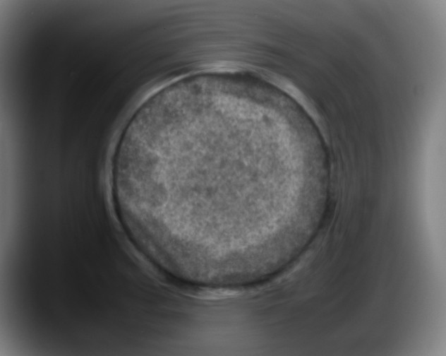 X0000087621187200705251956