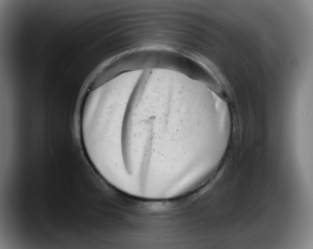 X0000087621188200705251956