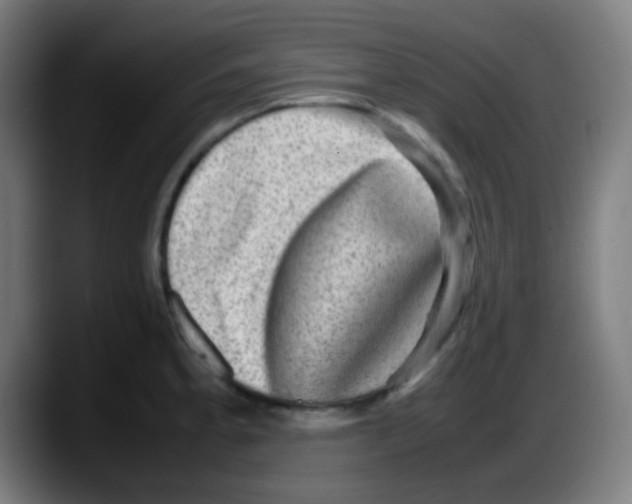 X0000087621189200705251956