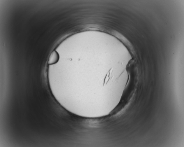 X0000087621190200705251956