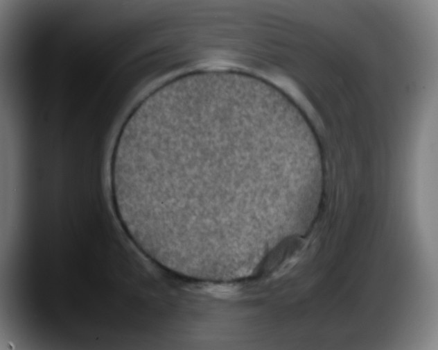 X0000087621191200705251956