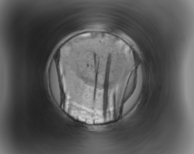 X0000087621192200705251956