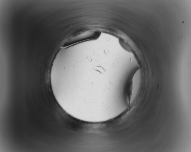 X0000087621193200705251956