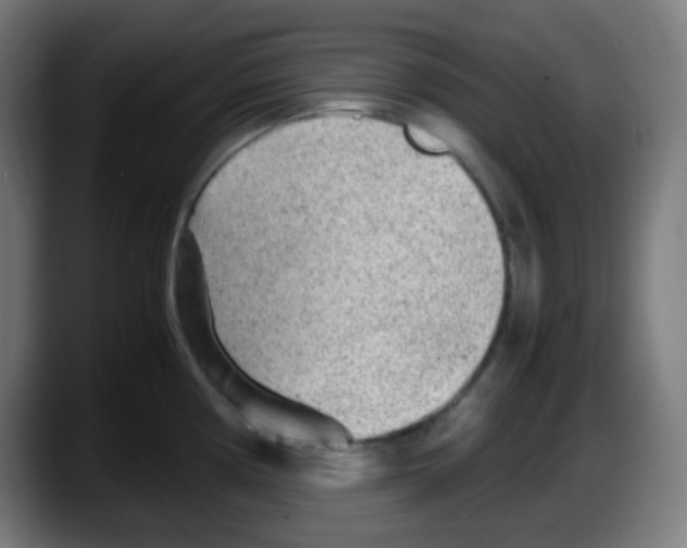 X0000087621194200705251956