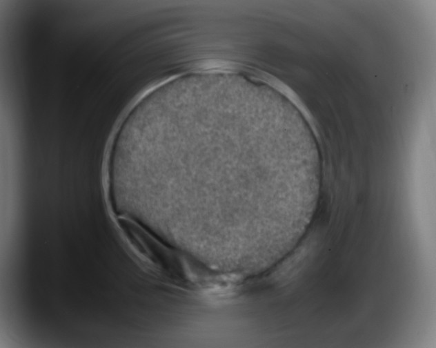 X0000087621195200705251956