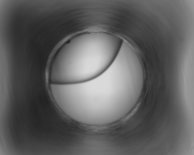 X0000087621196200705251956