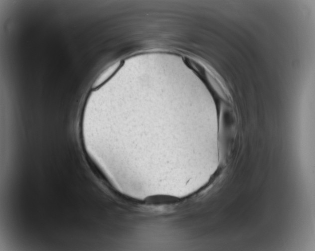 X0000087621197200705251956