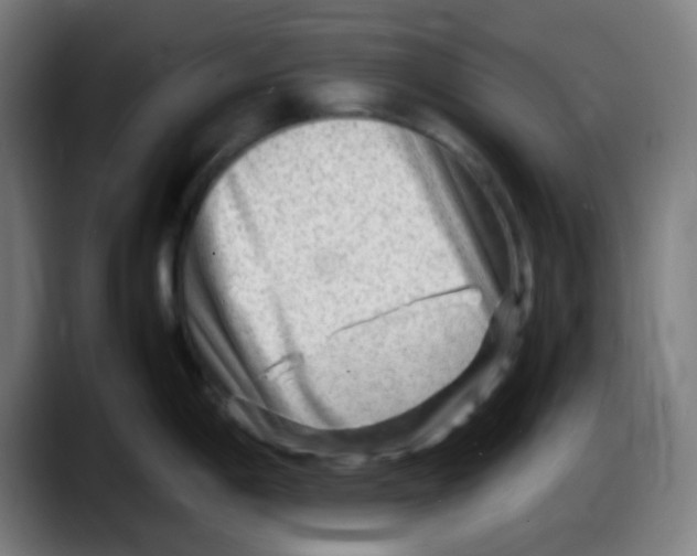 X0000087621198200705251956