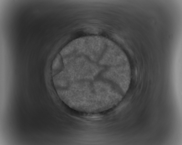 X0000087621201200705251955