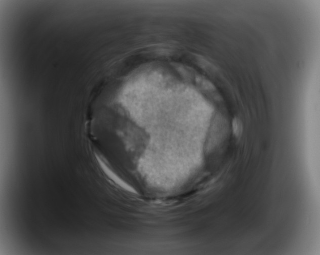 X0000087621203200705251955