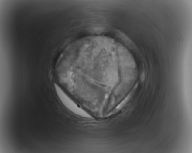 X0000087621204200705251955