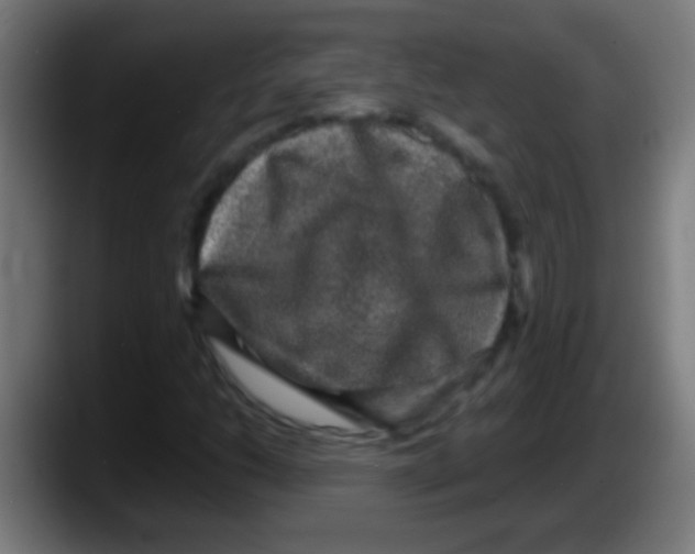 X0000087621206200705251956