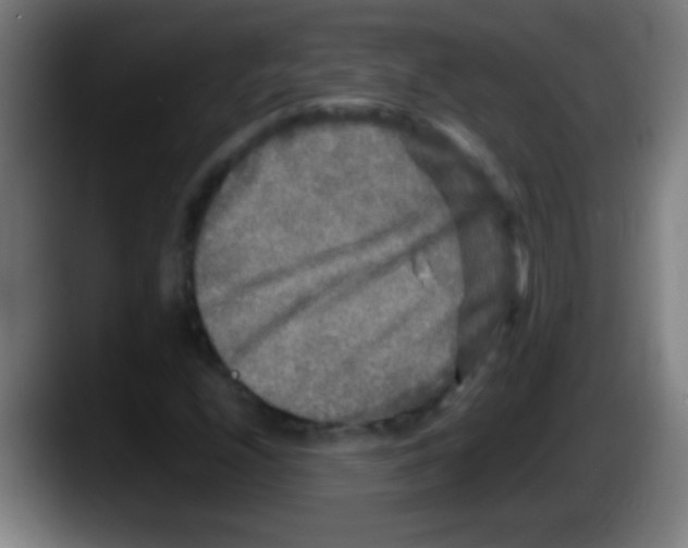 X0000087621208200705251956