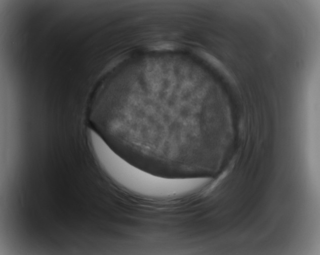 X0000087621209200705251956