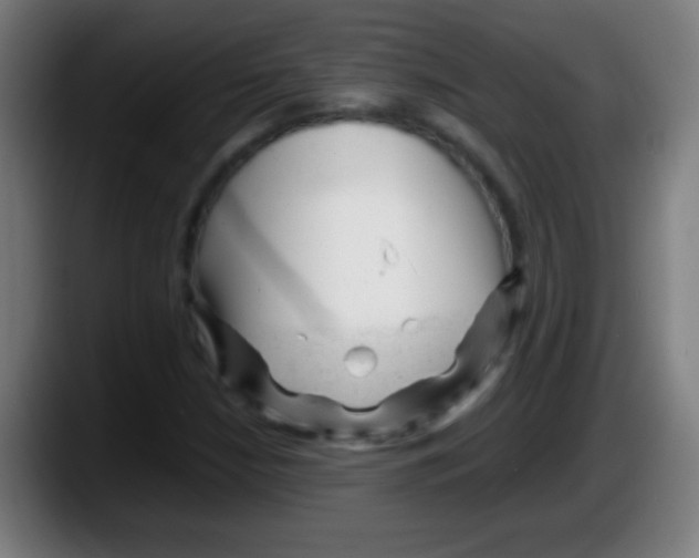 X0000087621210200705251956